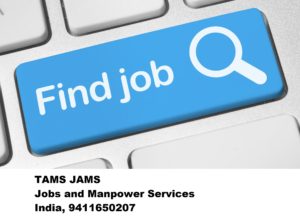 TAMS JAMS Jobs And Manpower Services North India, Delhi NCR, Aligarh Delhi NCR