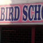 Flying Bird School Sootmil Beema Nagar Aligarh