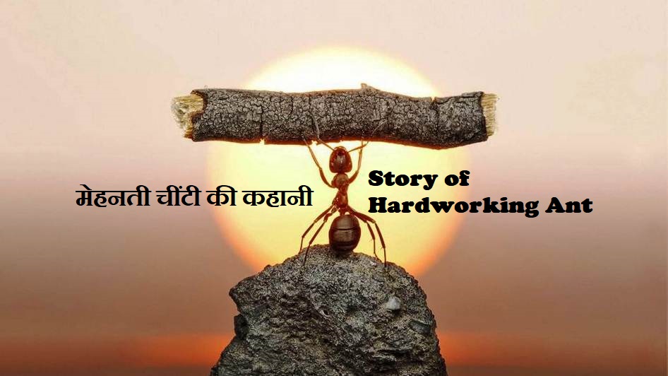 Story of Hardworking Ant मेहनती चींटी की कहानी