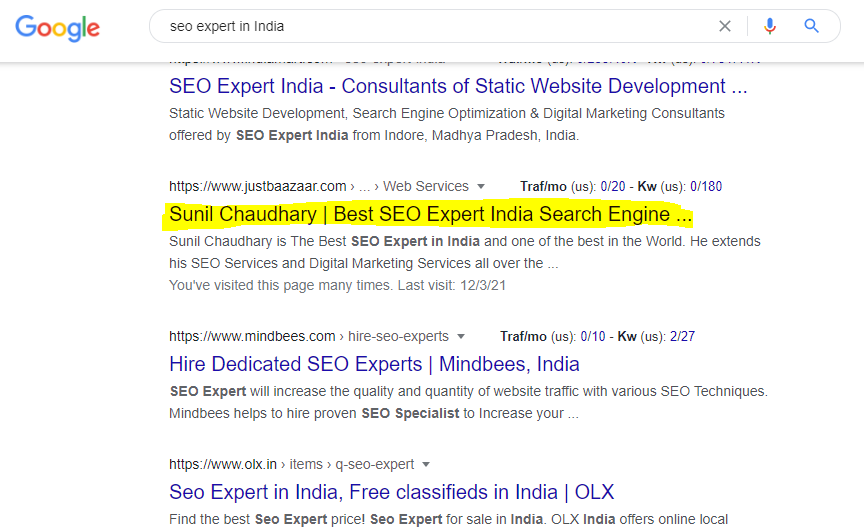 best seo expert in india