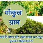 Buy Top Plots in Vrindavan Get Call Back Now Gokul Gram Vrindavan Hot Property