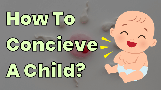A Comprehensive Guide on How to Conceive a Child (How to Make a Baby)