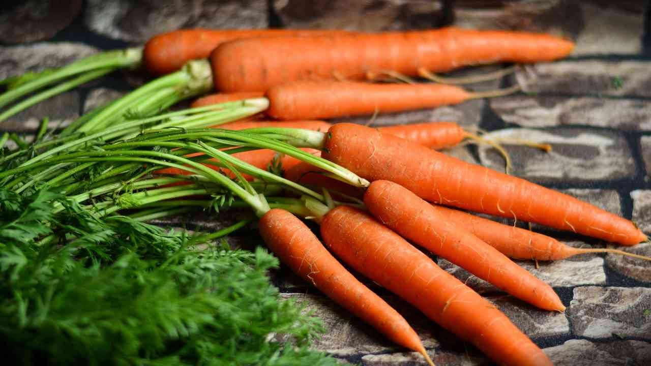 Discover 10 delicious ways to include carrots in your winter diet. From soups to desserts, learn how to make the most of this nutritious root vegetable 10 Delicious Ways to Include Carrots in Your Winter Diet