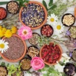 7 Flowers That Will Improve Your Mental Health