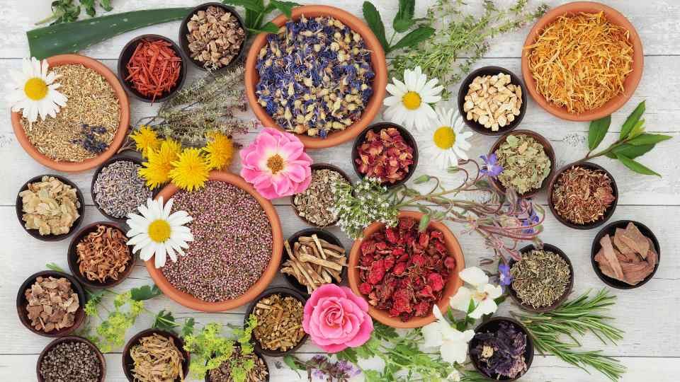 7 Flowers That Will Improve Your Mental Health