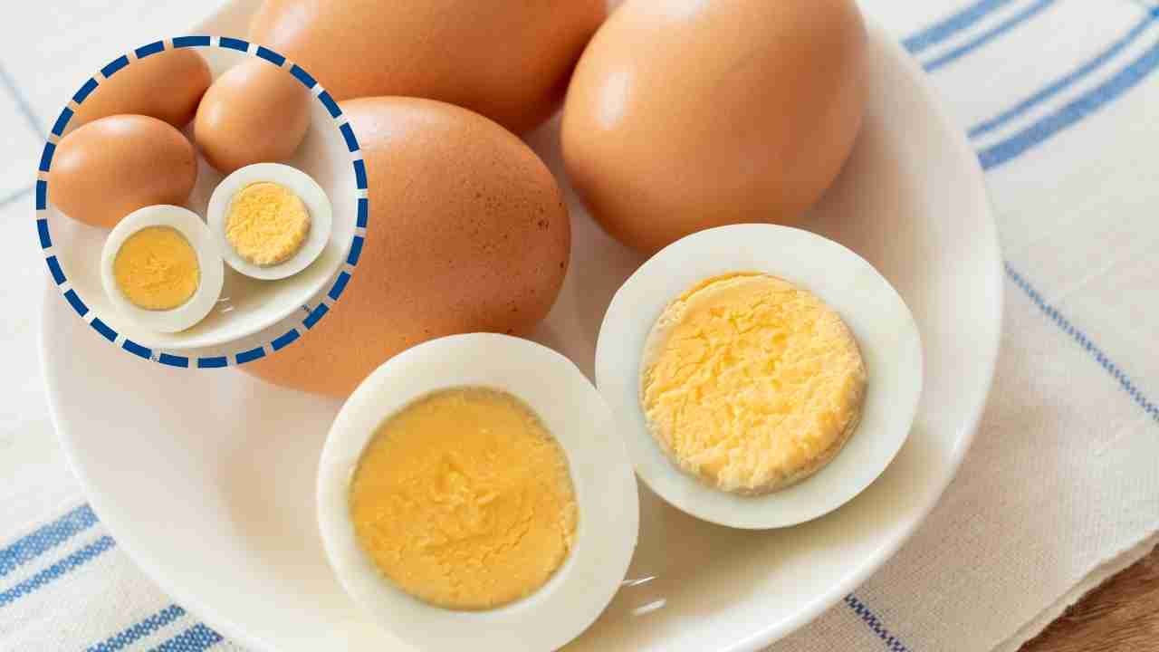 Mastering the Art of Perfectly Hard-Boiled Eggs: A Comprehensive Guide