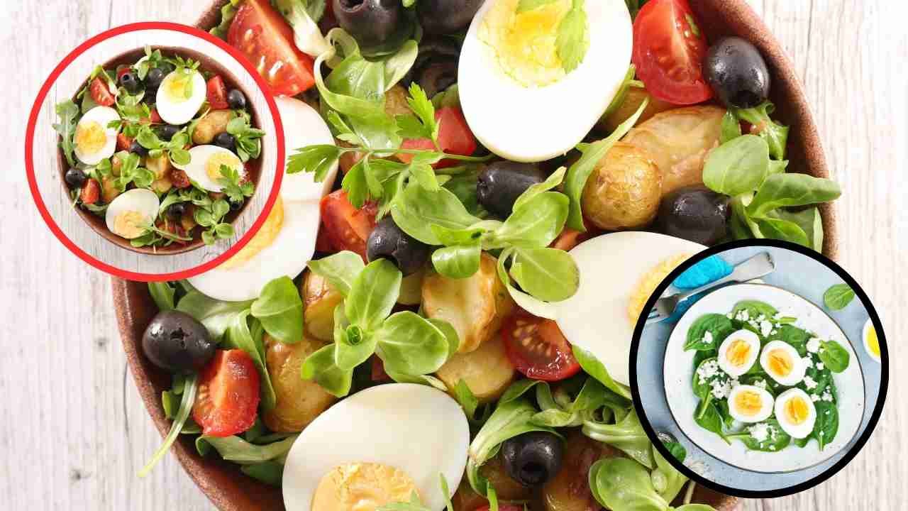 Elevate Your Egg Salad Game: A Delectable Recipe and Expert Tips