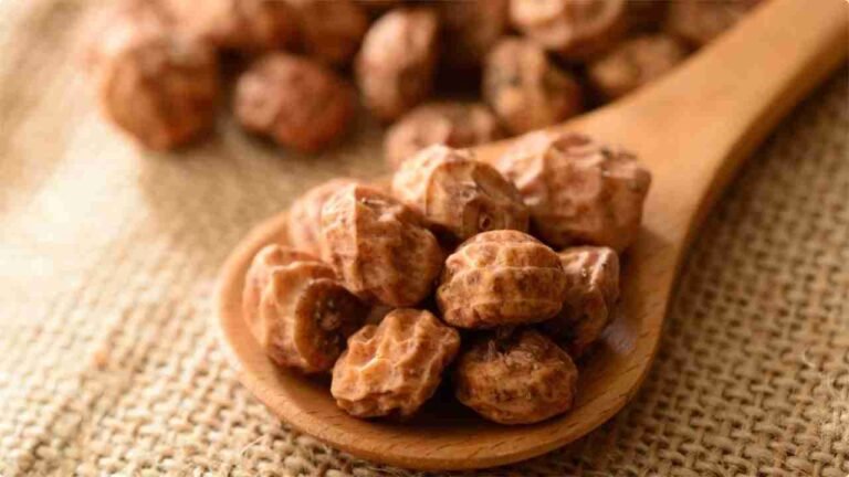 Unveiling the Nutritional Marvel - Tiger Nuts: A Rising Star in Health Foods