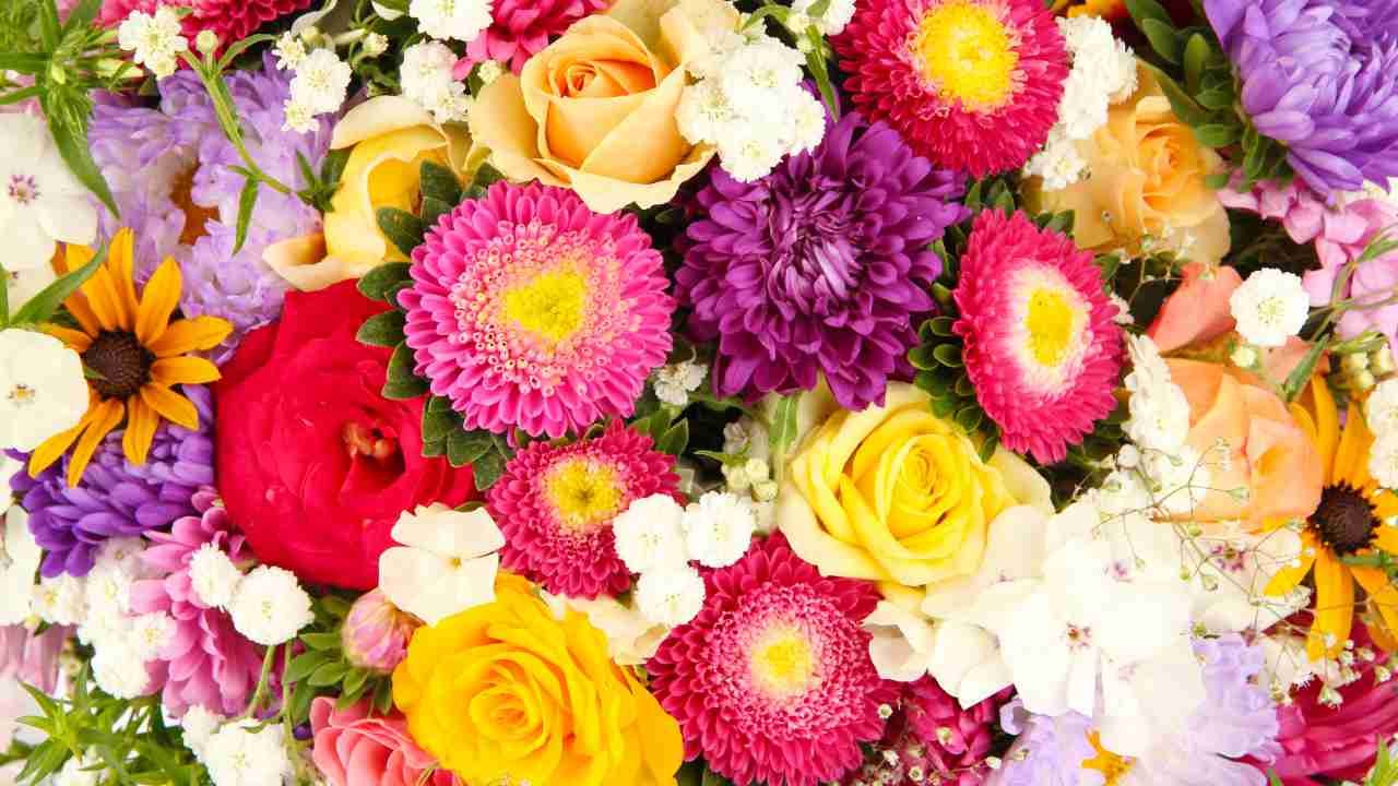 Top 20 Most Popular Flowers in the World Flower Names LKG UKG Class Student Learn Practice Kids Knowledge GK