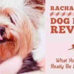 Pamper Your Pooch: Rachel Ray Dog Food Review