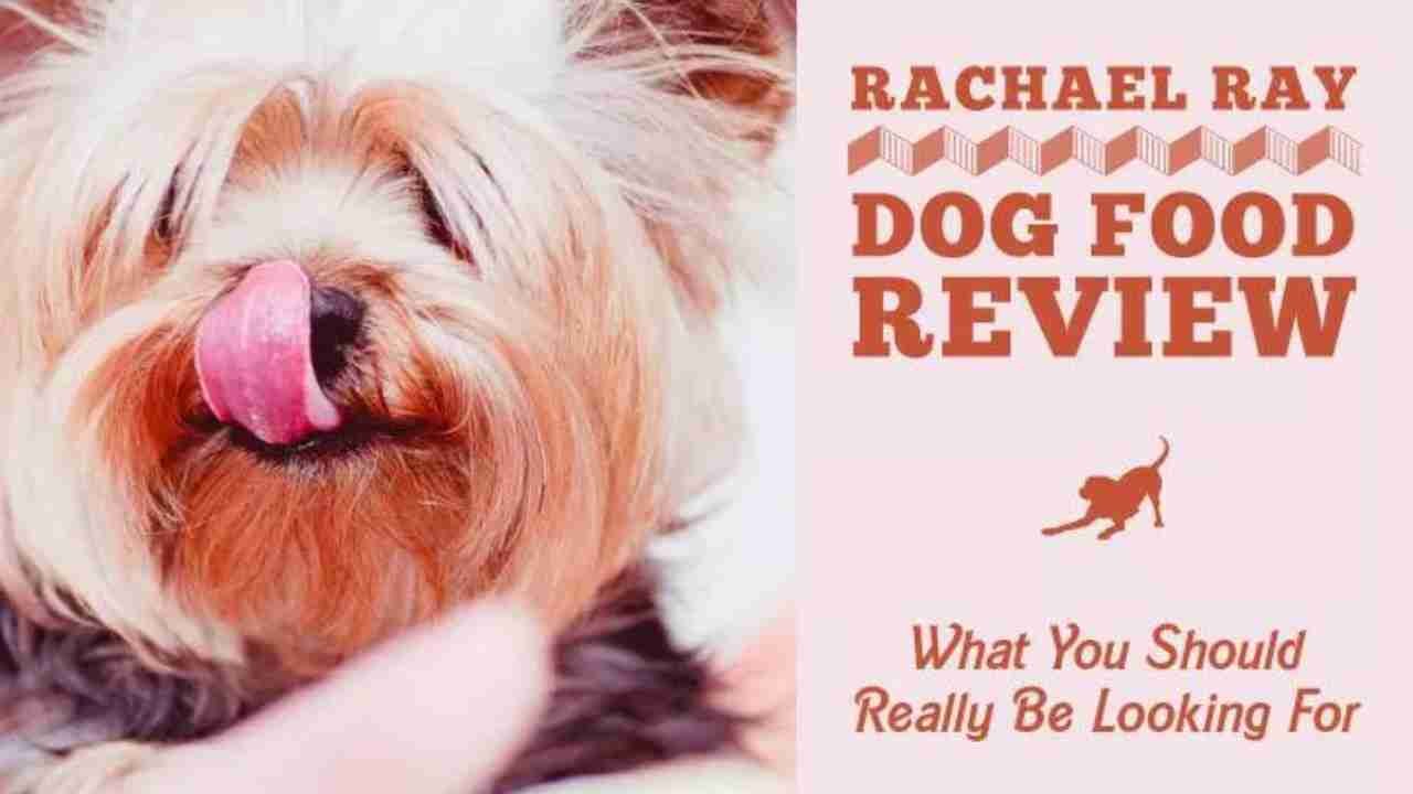 Pamper Your Pooch: Rachel Ray Dog Food Review