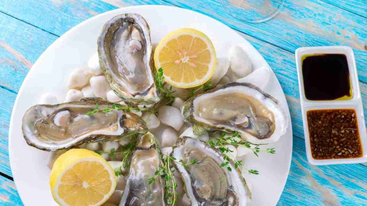 Learn about the 5 advantages of eating oysters, a super healthy food from the sea.