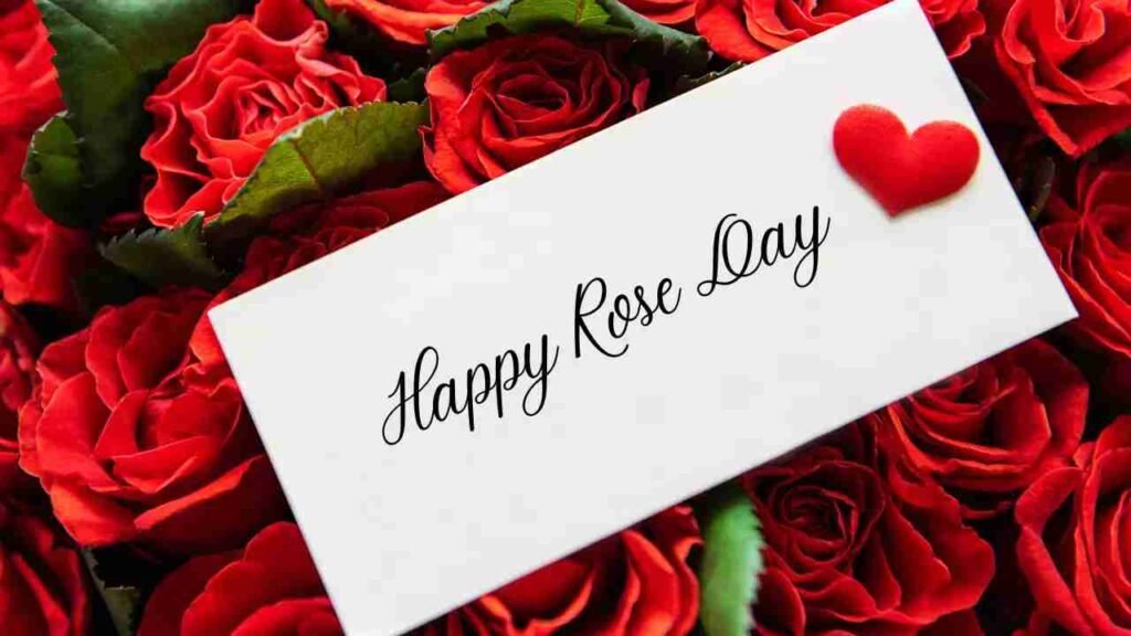 Happy Rose Day 2024: Wishes, images, messages and quotes to share with your loved one