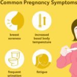 Blossoming Beginnings: Understanding Pregnancy Symptoms