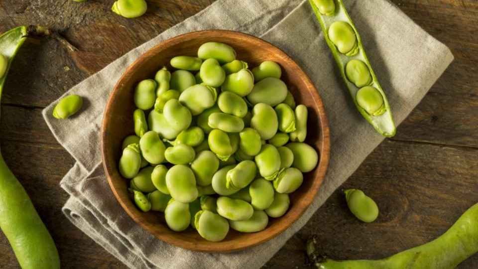 Superfood Fava Beans: Know these 5 Benefits of Baakala