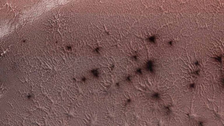 Hundreds of Black "Spiders" Spotted On The Surface Of Mars. Here's What They Really Are
