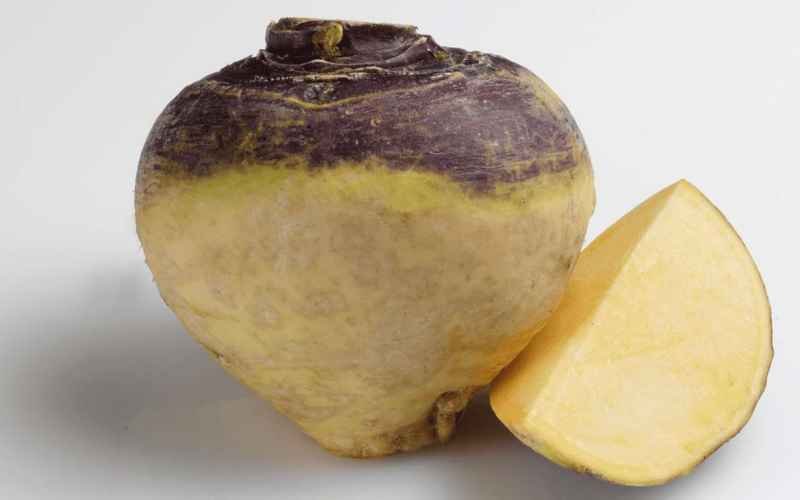 Superfood Swede: Know THESE 5 Benefits of Yellow Turnip