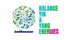 CHAPTER 1 - Introduction: Understanding Yin and Yang Energy