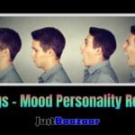 Swings - Mood Personality Results