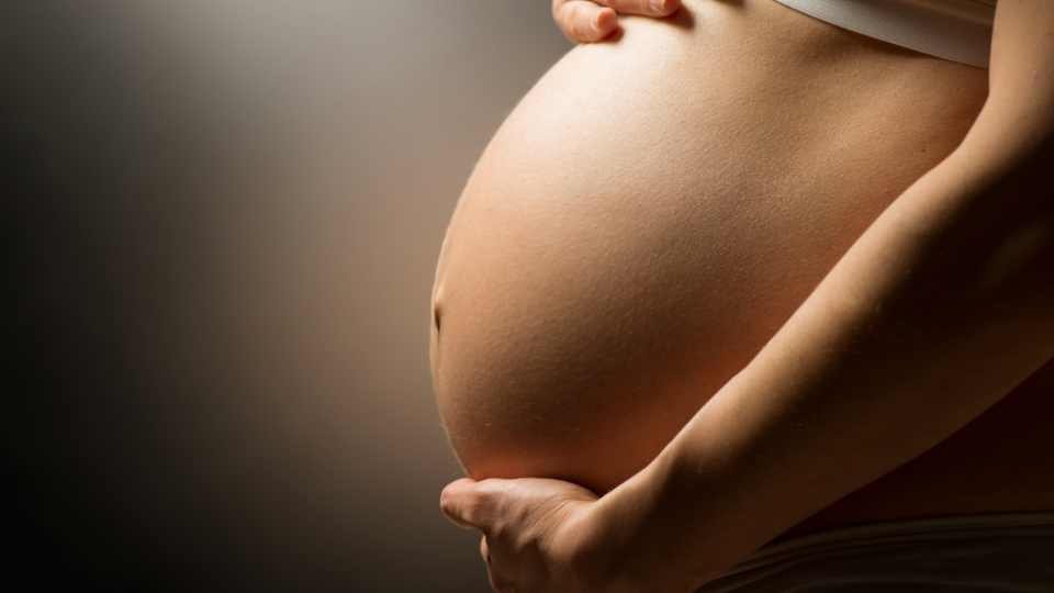 Nurturing Life: A Journey through Pregnancy