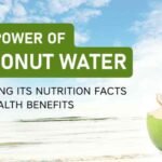 The Power of Coconut Water: Unveiling Its Incredible Health Benefits and the Best Time to Savor the Summer Drink