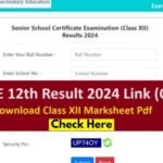 CBSE Results 2024: Class 12 Results Out - Where to Check, Passing Trends & More