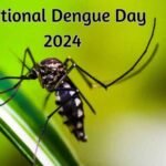 National Dengue Day 2024: Date, Theme, History, Significance, and More