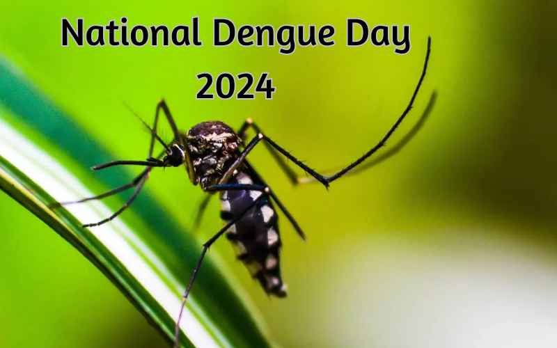 National Dengue Day 2024: Date, Theme, History, Significance, and More