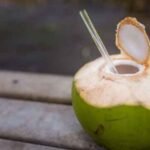 Enjoy Sipping on Tender Coconut? Know Easy Tips to Clean, Store, and Reuse Its Outer Shell