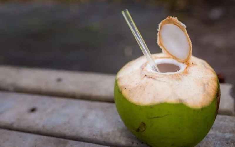 Enjoy Sipping on Tender Coconut? Know Easy Tips to Clean, Store, and Reuse Its Outer Shell