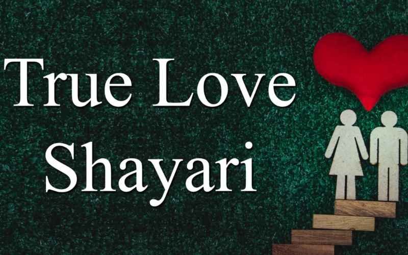 True Love Shayari: Expressions from the Heart