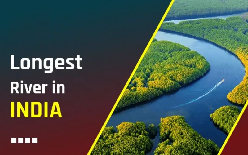 Exploring the 10 Longest Rivers in India: Where to Spot Them