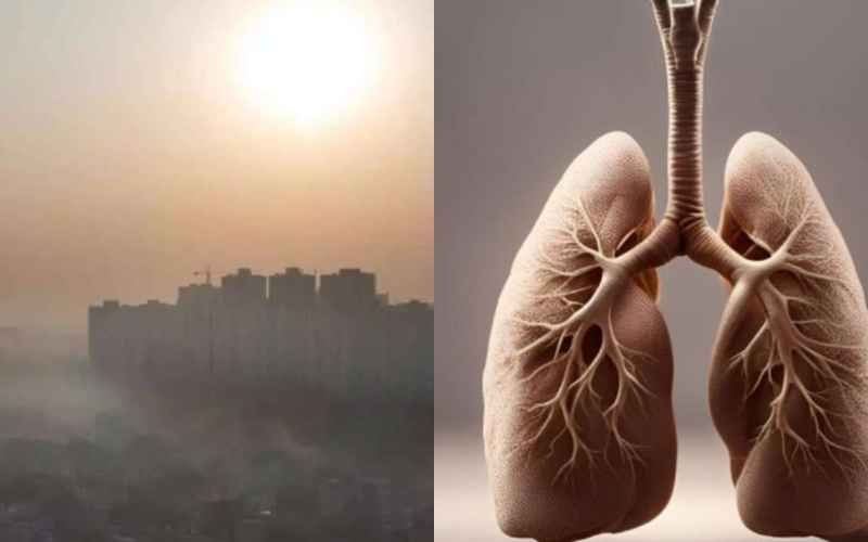 Poor Air Quality Impacts Lung Health: Know Its Short and Long-term Impact