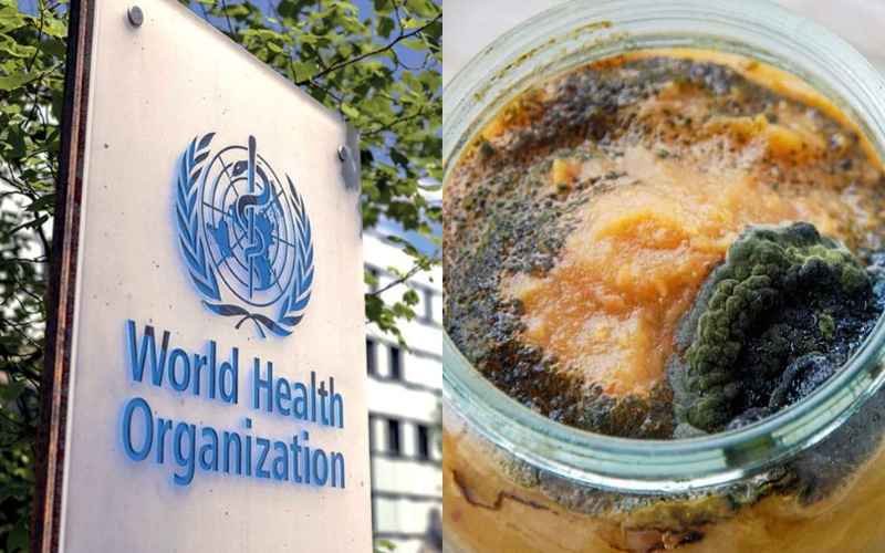 1.6 Million People Worldwide Fall Ill Daily Due to Eating Contaminated Food: WHO