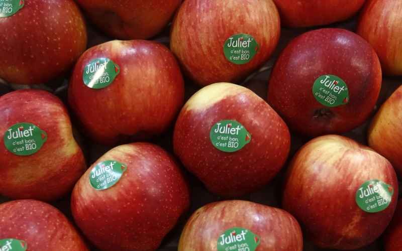 Why Do Apples Have Stickers? 99% of People Don't Know the Truth, But It's Worth Knowing