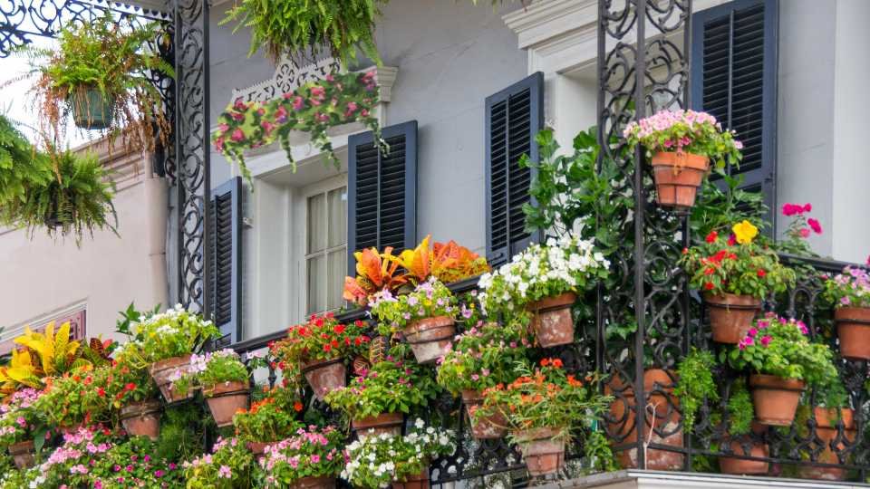 Balcony Garden Vocabulary Terminology