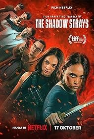 Movie Review: The Shadow Strays (2024)