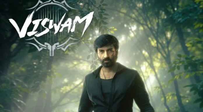 Movie Review: Viswam 