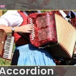 Women Playing Accordion Musical Instrument Harmonium Harmonica