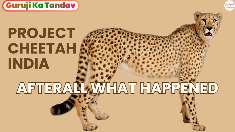 Project Cheetah: India’s Historic Wildlife Conservation Effort LATEST NEWS UPDATE MARCH 2025