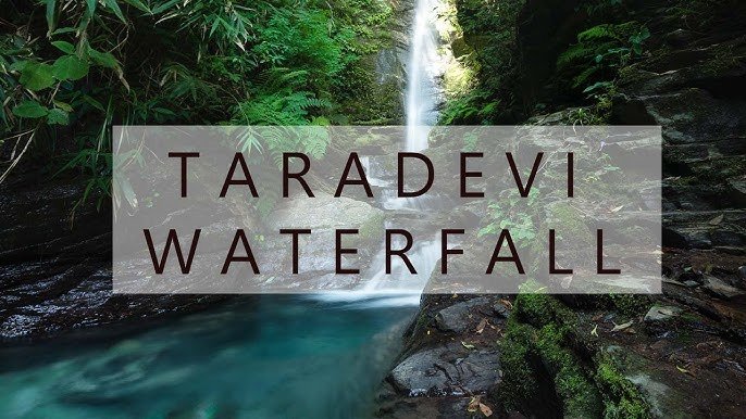 Discover the Beauty of Taradevi Waterfall Zone