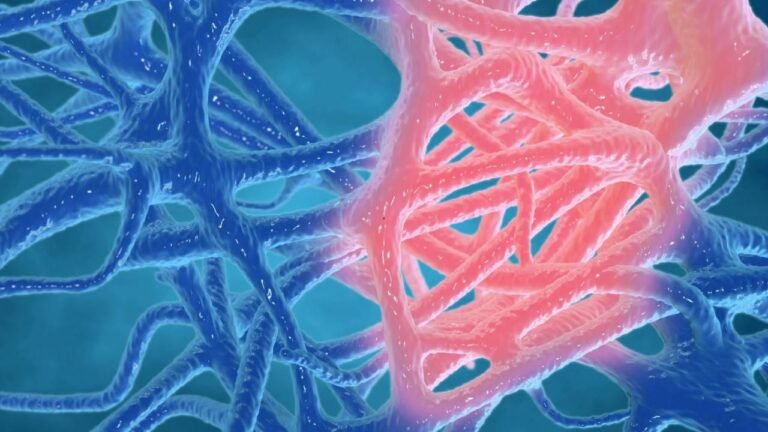 Silent Inflammation: The Hidden Root of Most Modern Diseases & How to Heal Naturally