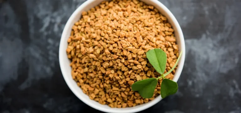 Health Benefits of Eating Soaked Fenugreek Seeds (Methi Dana)
