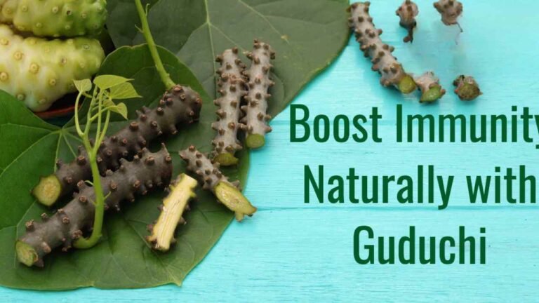 Giloy (Guduchi): The Ayurvedic Immunity Booster and Natural Detoxifier