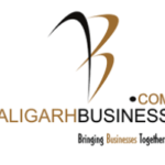 Aligarh Business Website Management