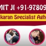 Indian Astrologer Chaukhandi Vishnu Garden New Delhi