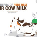 DesiMoo Desi Cow Milk Jhajjar, Haryana